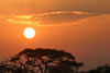 Photo of sunrise over the Serengeti Dessert in Tanzania, courtesy of Winston & Jen Yeung