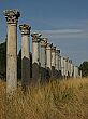 Photo of Columns of Ephesus, Turkey courtesy of Jen & Winston Yeung